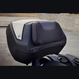 141-50L-with-RED-Cushion